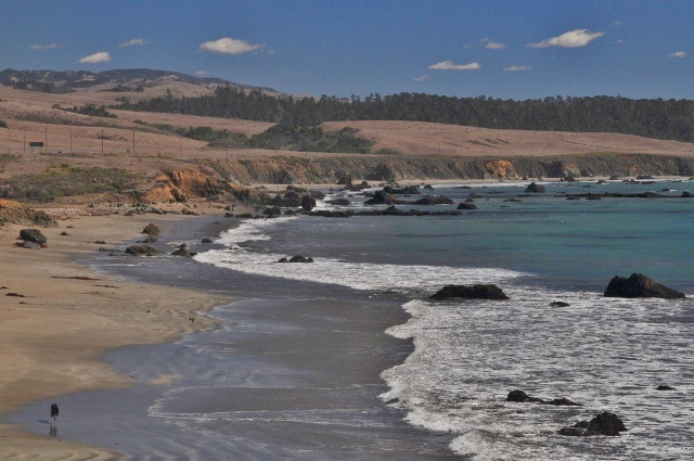 Wm R. Hearst Memorial State Park, San Simeon